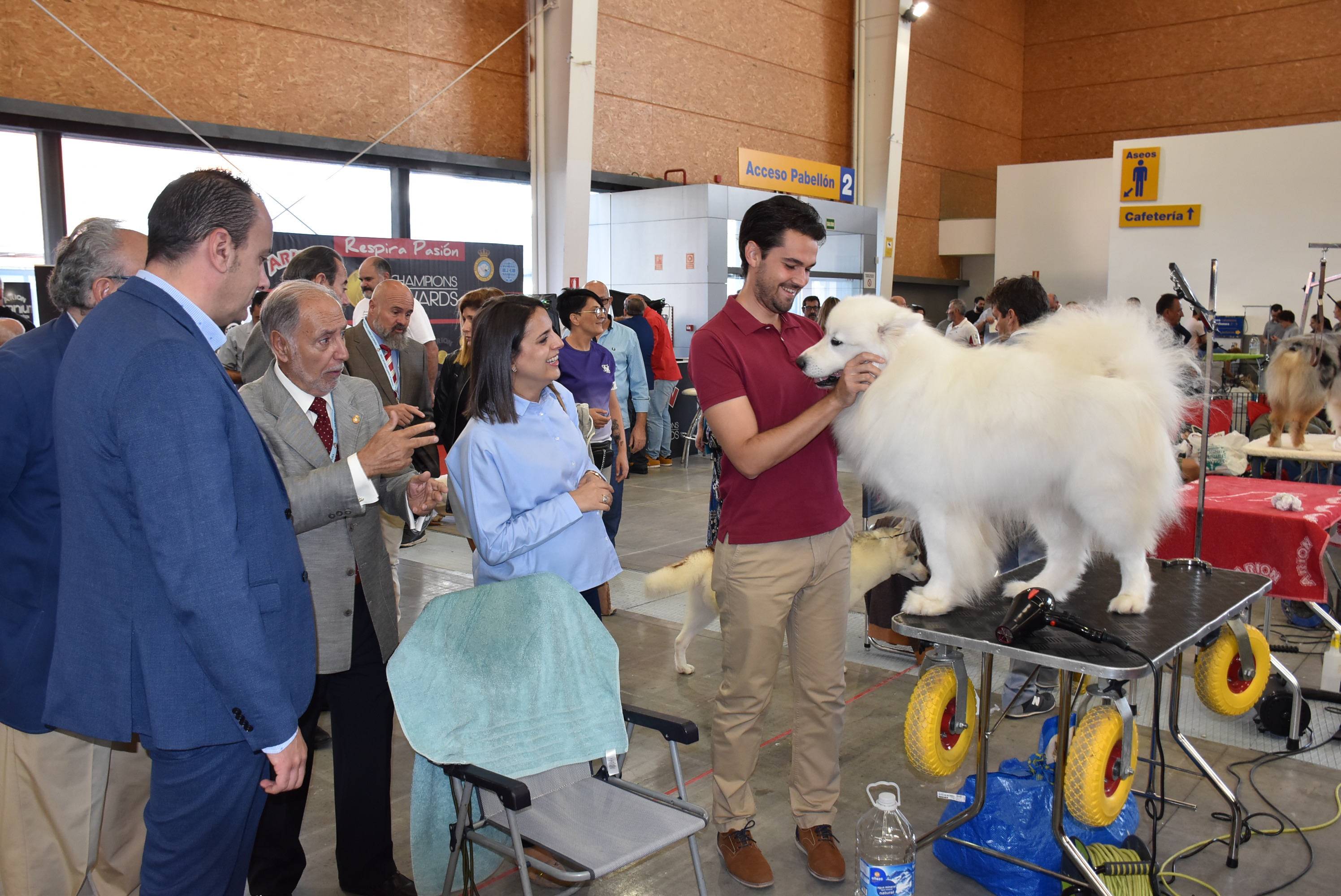 Gran éxito de la 36ª Exposición Internacional Canina de Otoño