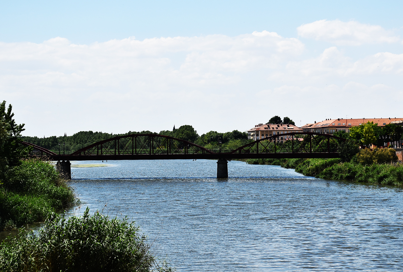 El Río Tajo libre de residuos en un plan que comenzará a aplicarse en Talavera  