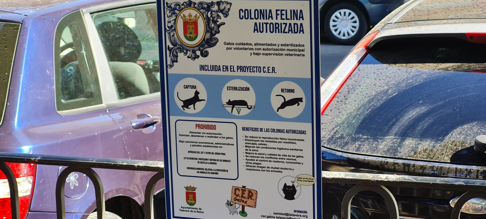 Talavera instala nuevos comederos para colonias felinas 