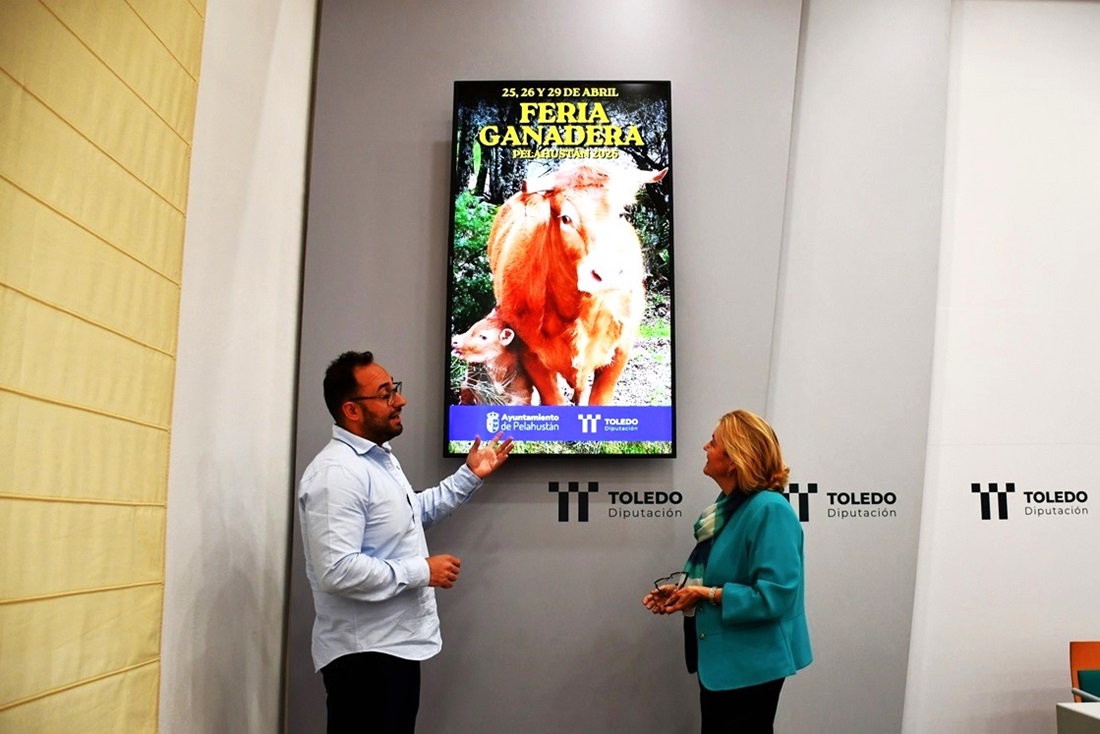 Días de feria ganadera en Pelahustán